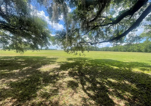 Photo 2 of Land for sale at N/A, Bunnell, FL 32110 | MLS# FC321060 | Listing updated on 2026-08-29