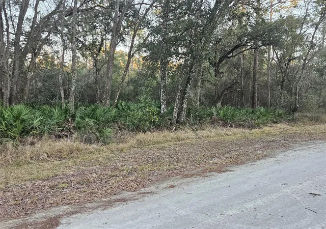 Photo 1 of Land for sale at Rosehill Dr, Webster, FL 33597 | MLS# TB8543544 | Listing updated on 2026-08-29