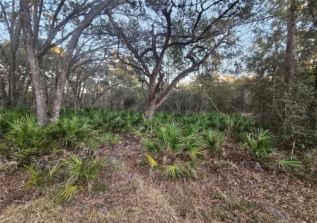 Photo 2 of Land for sale at Rosehill Dr, Webster, FL 33597 | MLS# TB8543544 | Listing updated on 2026-08-29