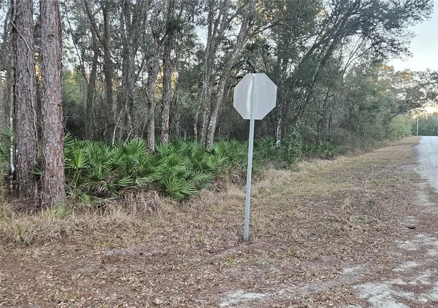 Photo 6 of Land for sale at Rosehill Dr, Webster, FL 33597 | MLS# TB8543544 | Listing updated on 2026-08-29