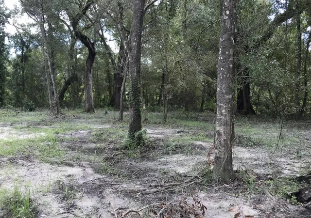 Photo 3 of Land for sale at Tbd1 Sw 129th Blvd, Webster, FL 33597 | MLS# OM731322 | Listing updated on 2026-09-01