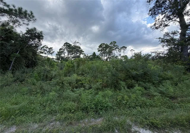 Photo 3 of Land for sale at 0 Central Pkwy, Deland, FL 32724 | MLS# V4950991 | Listing updated on 2026-09-21