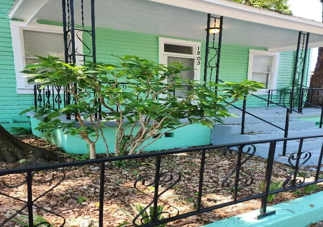 Photo 33 of Single family home for sale at 1203 E 15th Avenue, Tampa, FL 33605 | MLS# TB8543586 | Listing updated on 2026-09-14