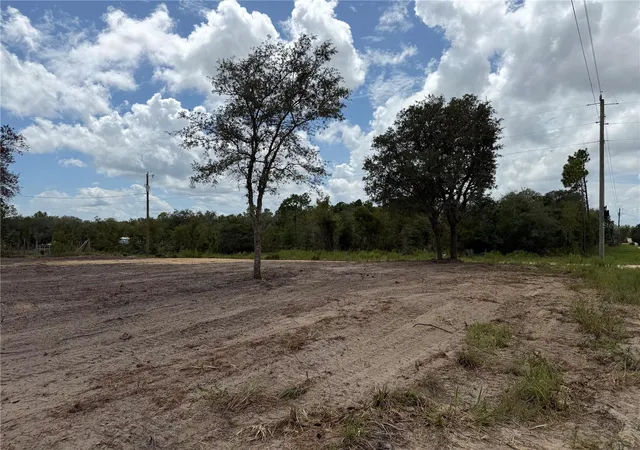 Photo 2 of Land for sale at Tbd Ne 88th Ln, Bronson, FL 32621 | MLS# GC543101 | Listing updated on 2026-09-05