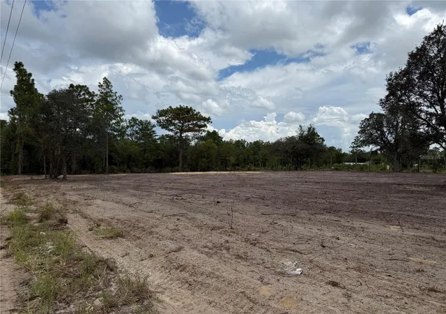 Photo 5 of Land for sale at Tbd Ne 88th Ln, Bronson, FL 32621 | MLS# GC543101 | Listing updated on 2026-09-05