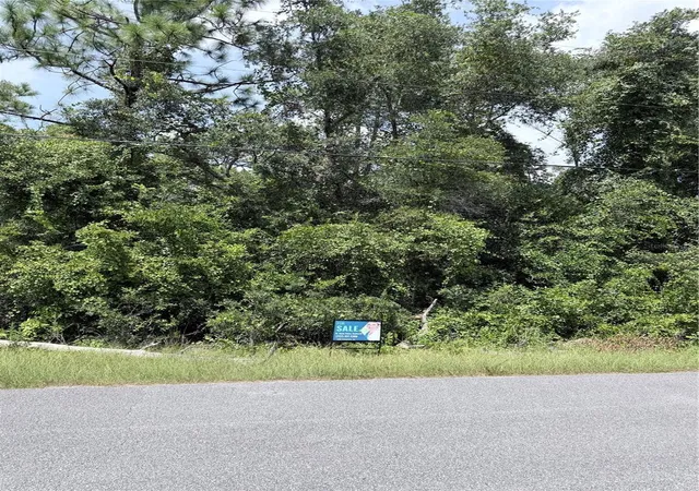 Photo 5 of Land for sale at 13155 Saddle Wy, Brooksville, FL 34613 | MLS# TB8543628 | Listing updated on 2026-08-29