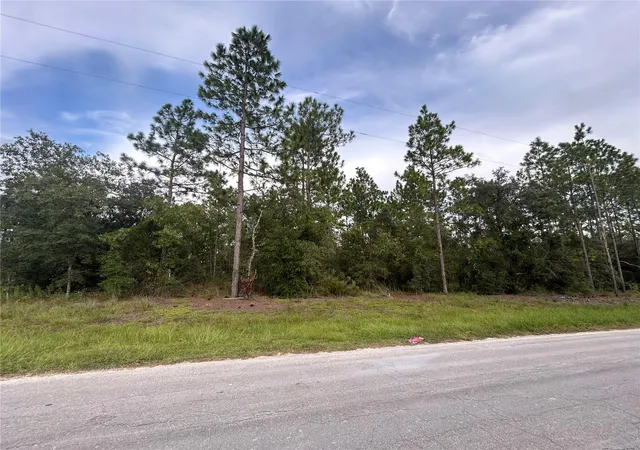 Photo 1 of Land for sale at Tbd Ne 150th Ave, Williston, FL 32696 | MLS# OM731328 | Listing updated on 2026-10-06
