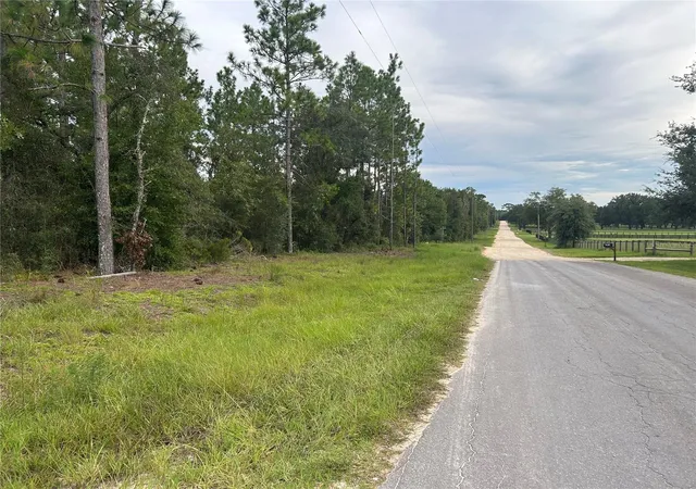 Photo 2 of Land for sale at Tbd Ne 150th Ave, Williston, FL 32696 | MLS# OM731328 | Listing updated on 2026-10-06