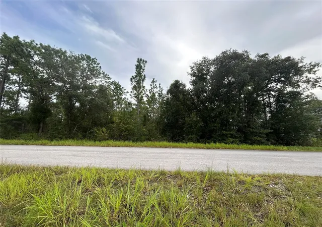 Photo 3 of Land for sale at Tbd Ne 150th Ave, Williston, FL 32696 | MLS# OM731328 | Listing updated on 2026-10-06