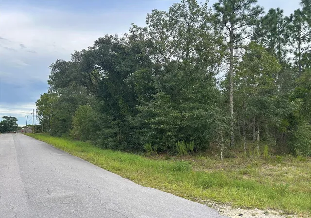 Photo 3 of Land for sale at Tbd Ne 150Th Ave, Williston, FL 32696 | MLS# OM731328 | Listing updated on 2026-10-06