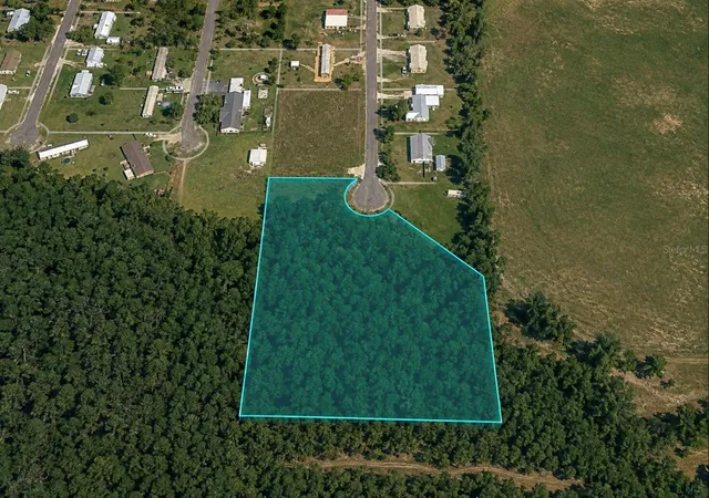 1st image of Unassigned Buckhead Dr, Grand Ridge, FL 32442 | MLS# TB8543643