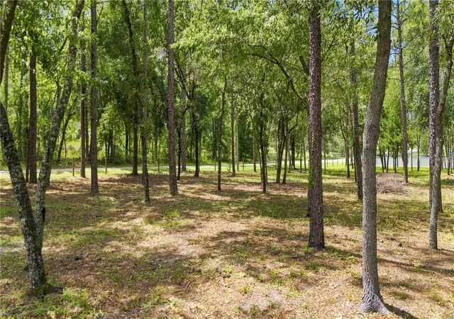 Photo 4 of Land for sale at 14313 Highgrove Rd, Brooksville, FL 34609 | MLS# TB8543649 | Listing updated on 2026-08-29