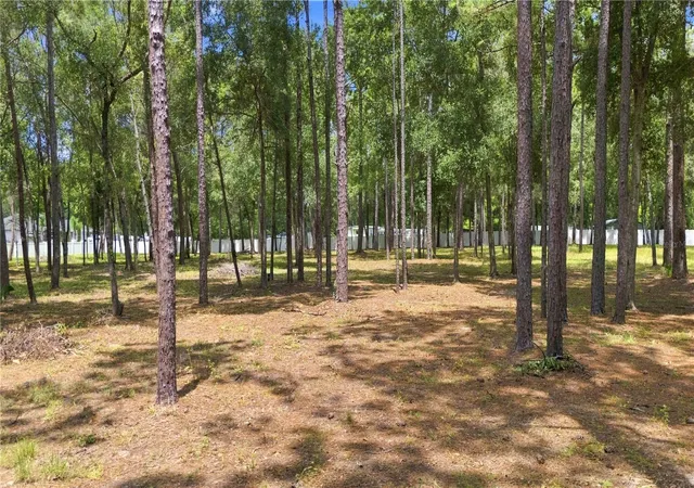 Photo 5 of Land for sale at 14313 Highgrove Rd, Brooksville, FL 34609 | MLS# TB8543649 | Listing updated on 2026-08-29