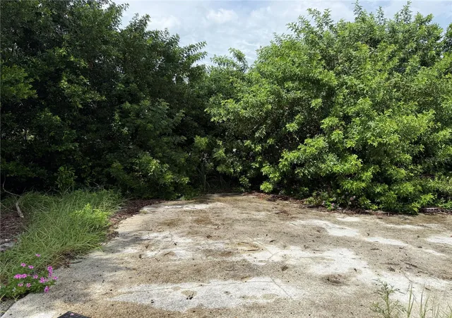 Photo 3 of Land for sale at 3621 Annona Ct, Holiday, FL 34691 | MLS# TB8543652 | Listing updated on 2026-09-15
