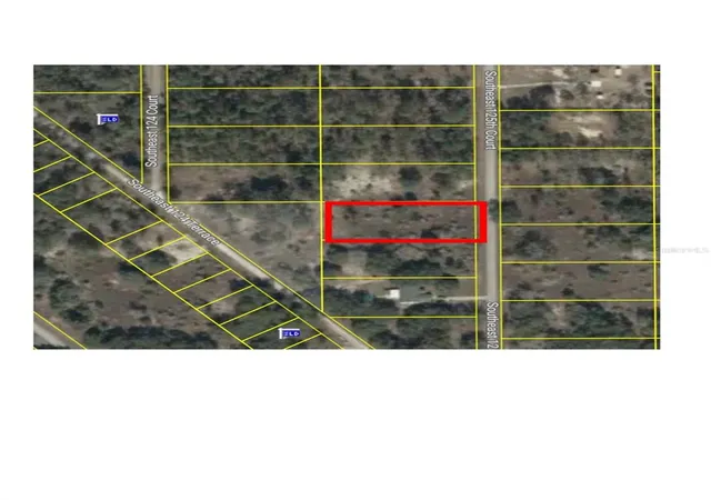 Land for sale at 00 SE 125th Court, DUNNELLON, FL 34431 | MLS# OM731339