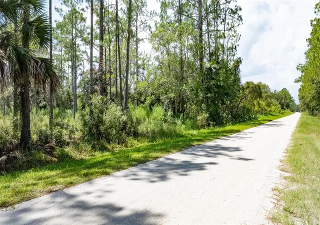 Photo 2 of Land for sale at 5669 Mango Ave, Bunnell, FL 32110 | MLS# O6437636 | Listing updated on 2026-08-30
