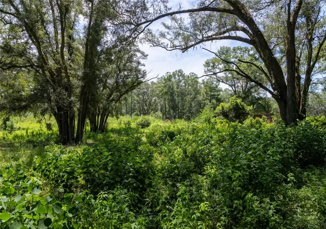 Photo 1 of Land for sale at 239 Sw Candi Ct, Fort White, FL 32038 | MLS# GC543106 | Listing updated on 2026-08-30