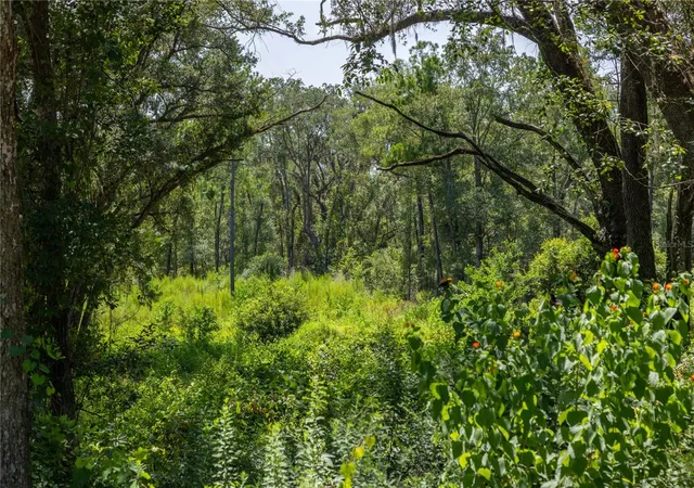 Photo 2 of Land for sale at 239 Sw Candi Ct, Fort White, FL 32038 | MLS# GC543106 | Listing updated on 2026-08-30