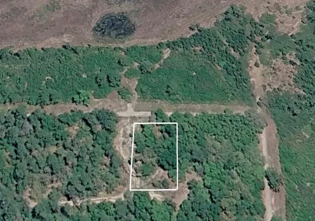 Photo 4 of Land for sale at 156 Sharon Dr, Satsuma, FL 32189 | MLS# TB8543760 | Listing updated on 2026-08-30