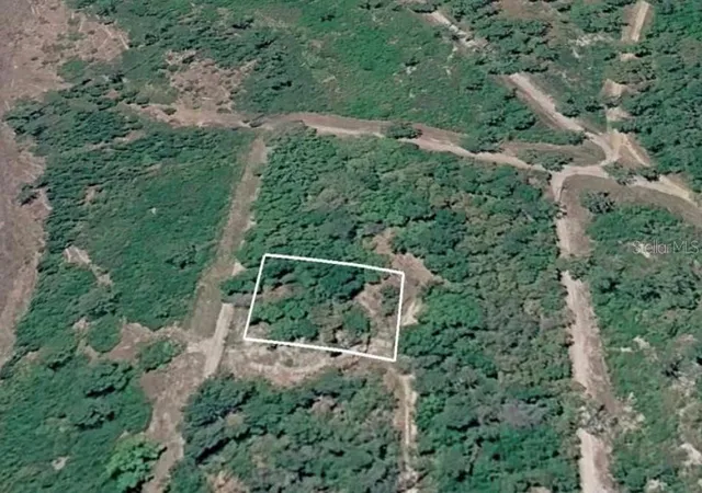 Photo 5 of Land for sale at 156 Sharon Dr, Satsuma, FL 32189 | MLS# TB8543760 | Listing updated on 2026-08-30
