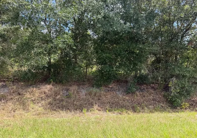 Photo 1 of Land for sale at 21971 Nw 260th St, Okeechobee, FL 34972 | MLS# C7530135 | Listing updated on 2026-09-02