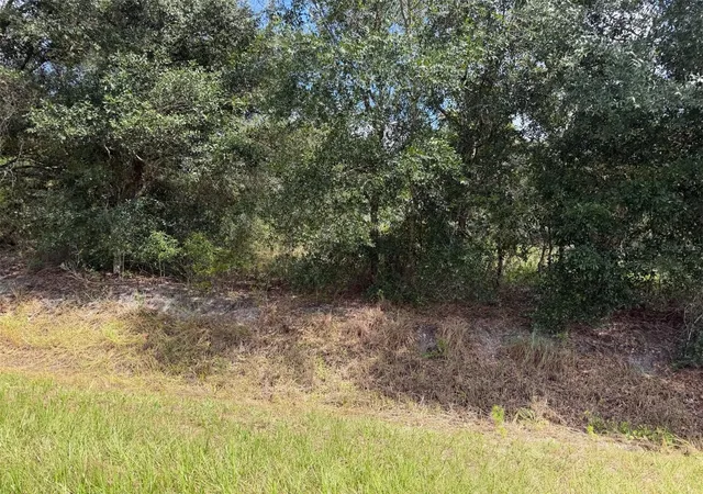 Photo 2 of Land for sale at 21971 Nw 260th St, Okeechobee, FL 34972 | MLS# C7530135 | Listing updated on 2026-09-02