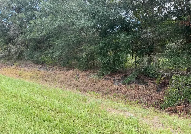 Photo 3 of Land for sale at 21971 Nw 260th St, Okeechobee, FL 34972 | MLS# C7530135 | Listing updated on 2026-09-02