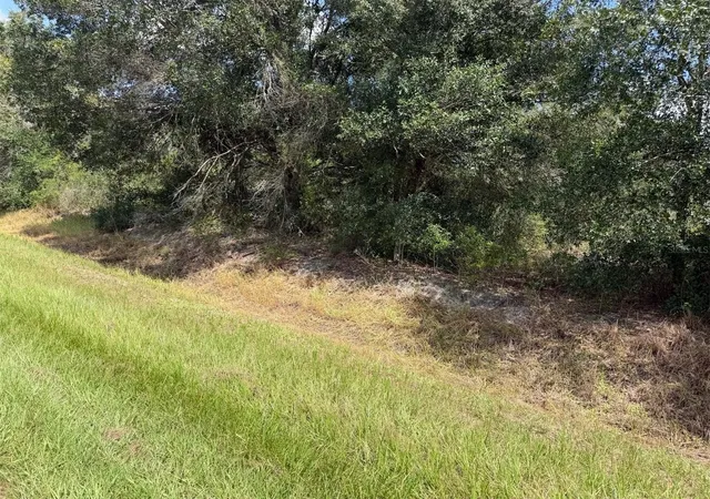 Photo 3 of Land for sale at 21971 Nw 260Th St, Okeechobee, FL 34972 | MLS# C7530135 | Listing updated on 2026-09-02