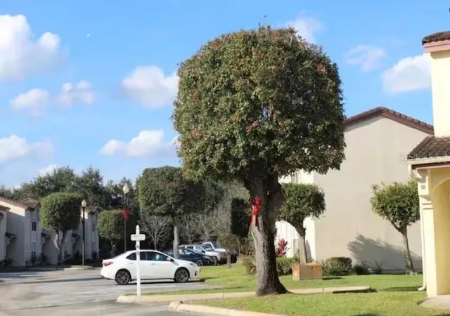 Photo 15 of Townhouse for sale at 3161 Tamarind Cir, Kissimmee, FL 34747 | MLS# O6437680 | Listing updated on 2026-08-30