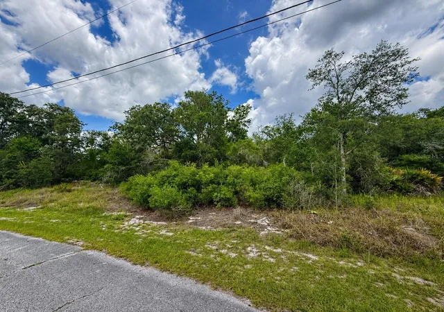 Photo 2 of Land for sale at 1334 Tallahassee Ct, Kissimmee, FL 34759 | MLS# S5156608 | Listing updated on 2026-09-01
