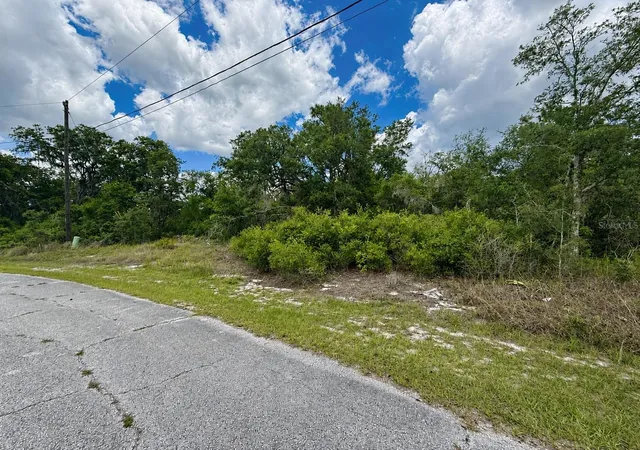 Photo 3 of Land for sale at 1334 Tallahassee Ct, Kissimmee, FL 34759 | MLS# S5156608 | Listing updated on 2026-09-01