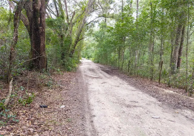 Photo 17 of Land for sale at Sw 57th Rd, Gainesville, FL 32608 | MLS# GC543111 | Listing updated on 2026-08-30