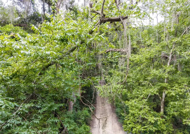 Photo 2 of Land for sale at Sw 57Th Rd, Gainesville, FL 32608 | MLS# GC543111 | Listing updated on 2026-08-30