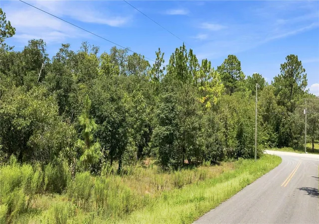 Photo 3 of Sale Pending at Lot 14 Sw 81 St & 137th Ct, Dunnellon, FL 34432 | MLS# FC321087 | Listing updated on 2026-10-06