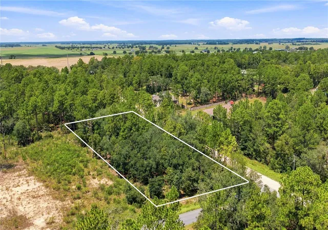 Photo 3 of Sale Pending at Lot 14 SW 81 St & 137th Ct, Dunnellon, FL 34432 | MLS# FC321087 | Listing updated on 2026-10-06