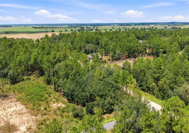 Photo 4 of Sale Pending at Lot 14 SW 81 St & 137th Ct, Dunnellon, FL 34432 | MLS# FC321087 | Listing updated on 2026-10-06