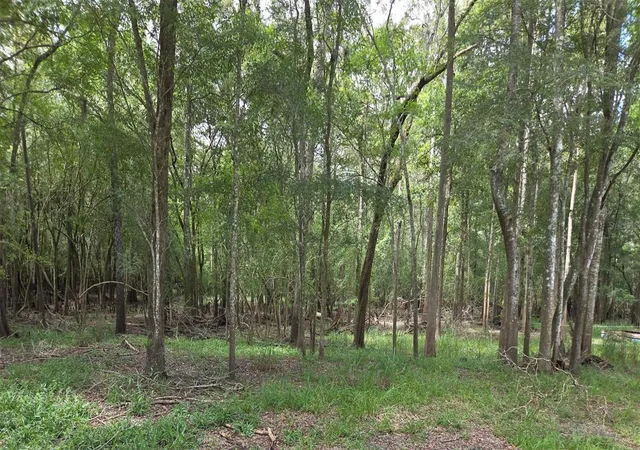 Photo 1 of Sale Pending at Unassigned, Old Town, FL 32680 | MLS# GC543126 | Listing updated on 2026-09-12