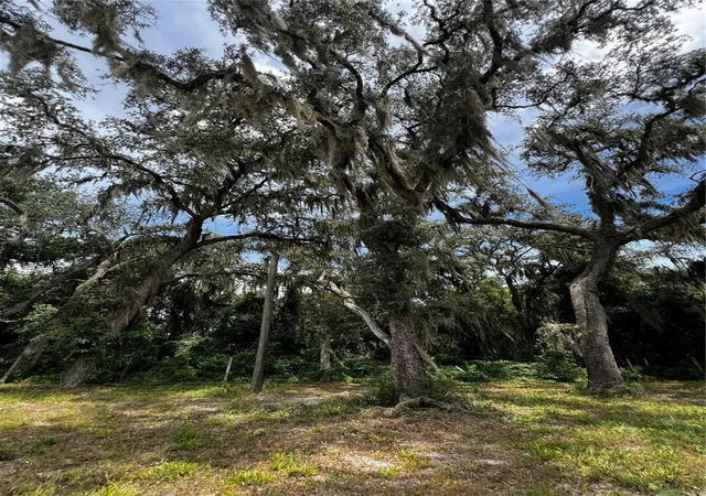 Photo 4 of Land for sale at 106 Planet Dr, Crescent City, FL 32112 | MLS# FC321098 | Listing updated on 2026-09-01
