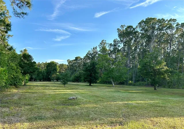 Photo 1 of Land for sale at Limpkin Ln, Frostproof, FL 33843 | MLS# P4939737 | Listing updated on 2026-09-01
