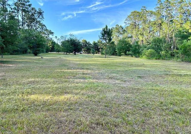 Photo 2 of Land for sale at Limpkin Ln, Frostproof, FL 33843 | MLS# P4939737 | Listing updated on 2026-09-01