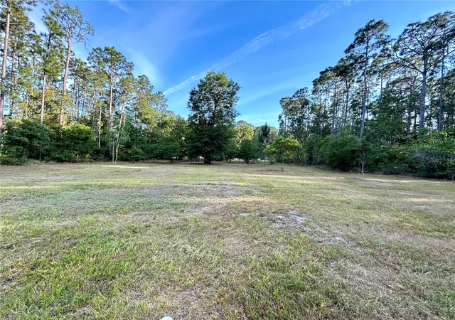 Photo 3 of Land for sale at Limpkin Ln, Frostproof, FL 33843 | MLS# P4939737 | Listing updated on 2026-09-01