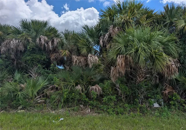 Photo 1 of Land for sale at 13337 Appleton Blvd, Port Charlotte, FL 33981 | MLS# D6148626 | Listing updated on 2026-09-04