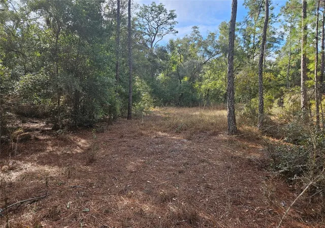 Photo 1 of Land for sale at Rosehill Dr, Webster, FL 33597 | MLS# TB8544159 | Listing updated on 2026-09-01