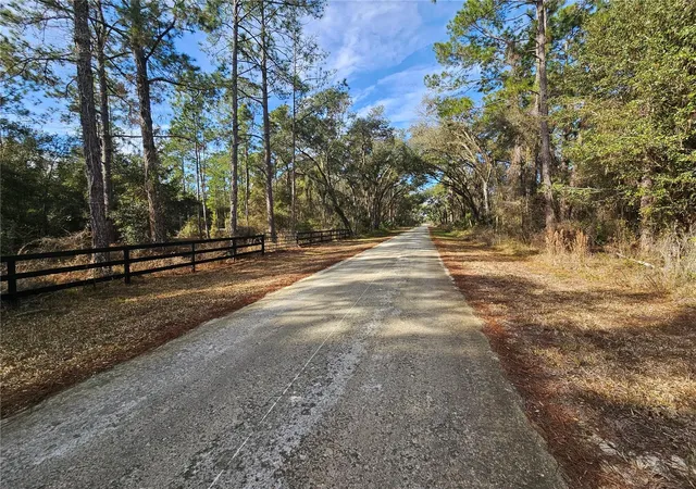 Photo 4 of Land for sale at Rosehill Dr, Webster, FL 33597 | MLS# TB8544159 | Listing updated on 2026-09-01