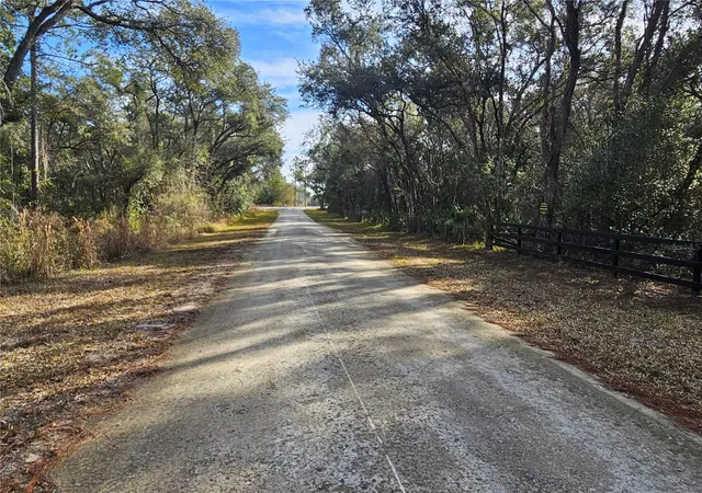 Photo 5 of Land for sale at Rosehill Dr, Webster, FL 33597 | MLS# TB8544159 | Listing updated on 2026-09-01