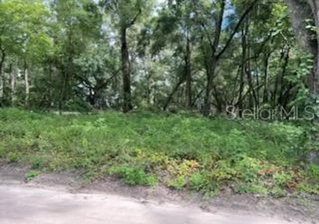 Photo 3 of Land for sale at 17411 NW 110th Avenue, Alachua, FL 32615 | MLS# GC543156 | Listing updated on 2026-09-03