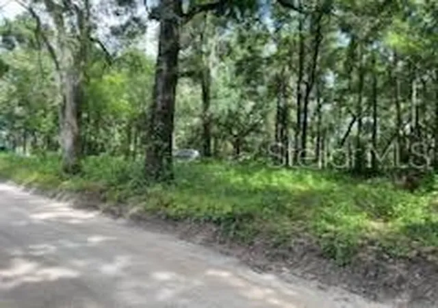 Photo 4 of Land for sale at 17411 NW 110th Avenue, Alachua, FL 32615 | MLS# GC543156 | Listing updated on 2026-09-03
