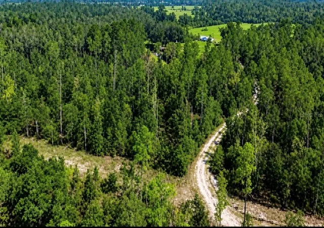 Photo 1 of Land for sale at Sw Co Rd 249, Jasper, FL 32052 | MLS# GC543159 | Listing updated on 2026-10-14