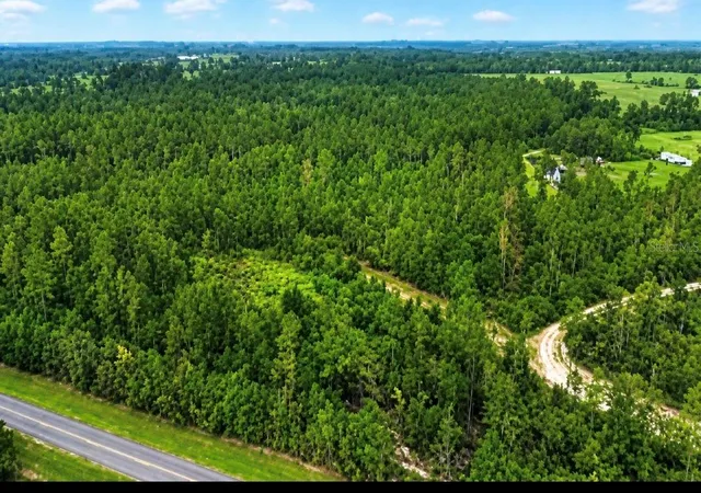 Photo 3 of Land for sale at SW Co Rd 249, Jasper, FL 32052 | MLS# GC543159 | Listing updated on 2026-10-14