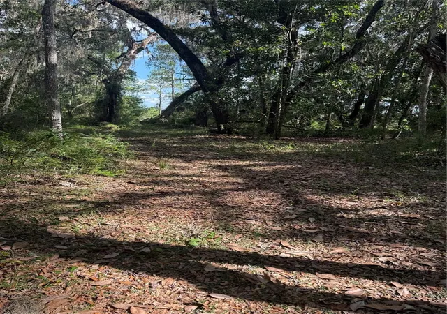 Photo 1 of Land for sale at 5612 E Highway 316, Citra, FL 32113 | MLS# O6438100 | Listing updated on 2026-09-01